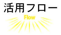 application_flow